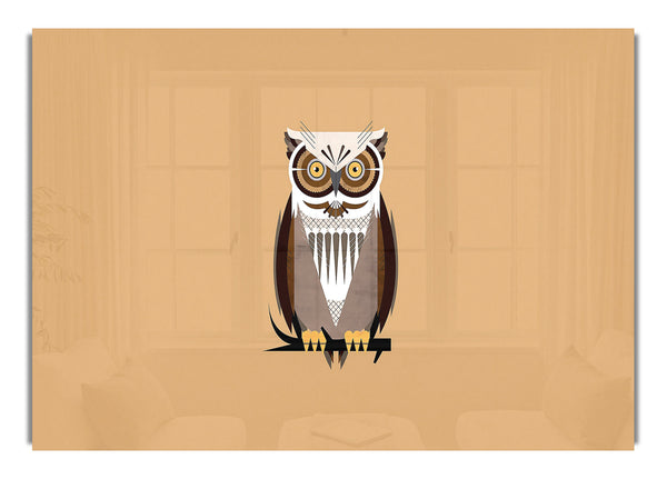 Owl 6