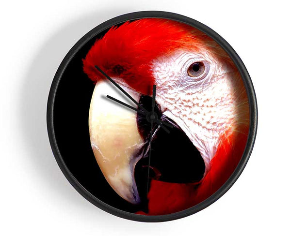 Parrot High Resolution Clock - Wallart-Direct UK