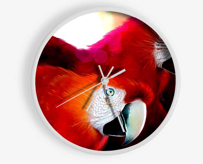 Parrots Clock - Wallart-Direct UK