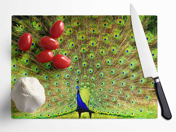 Peacock Paradise Glass Chopping Board