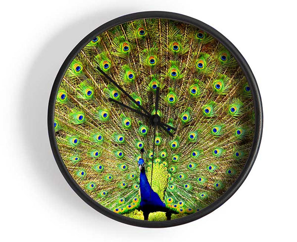 Peacock Paradise Clock - Wallart-Direct UK