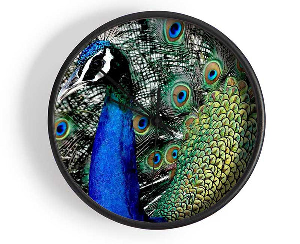 Peacock Stare Clock - Wallart-Direct UK