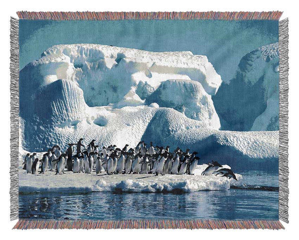 Penguins First Dive Woven Blanket