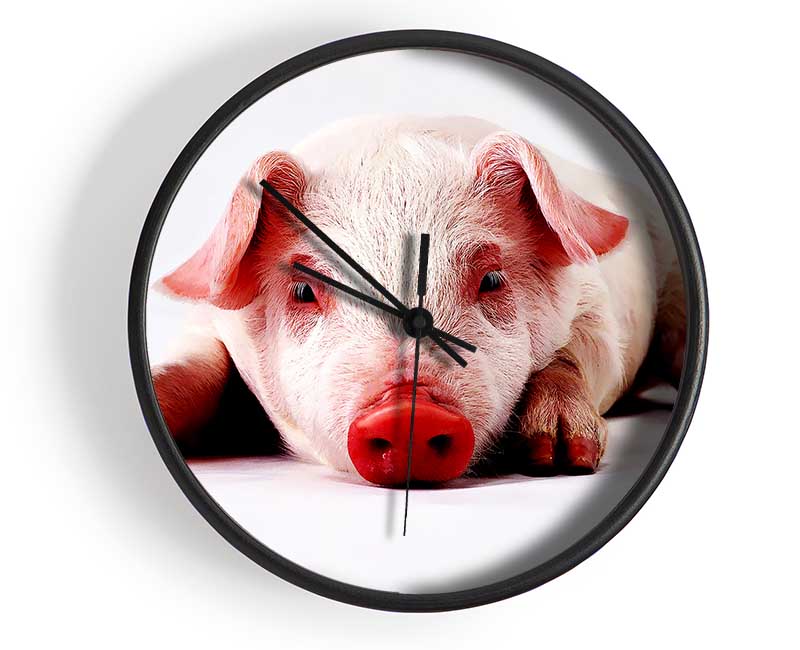 Pig Portrait Clock - Wallart-Direct UK