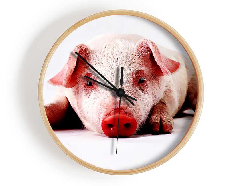 Pig Portrait Clock - Wallart-Direct UK