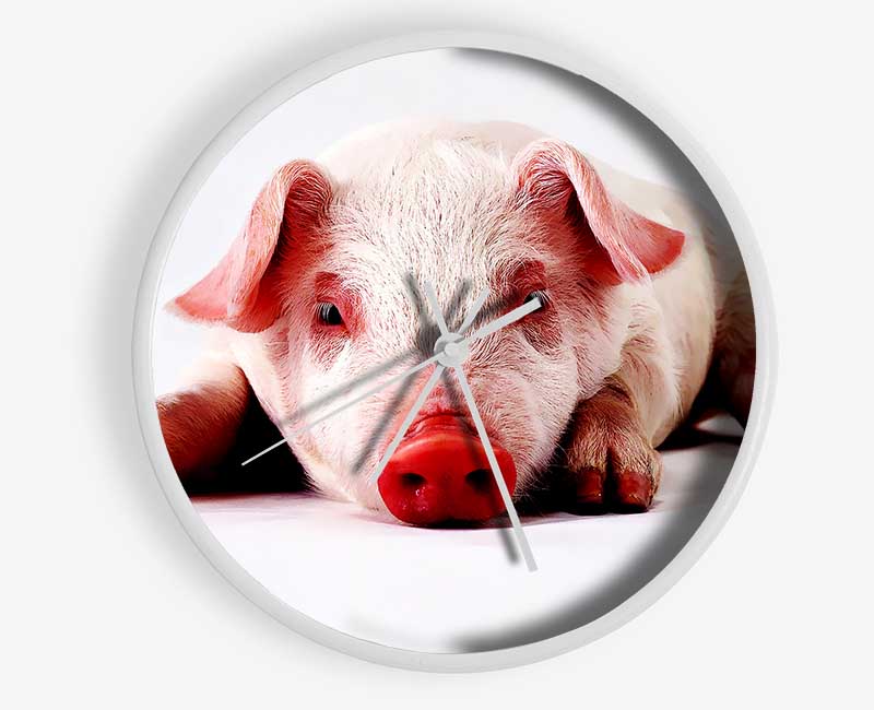 Pig Portrait Clock - Wallart-Direct UK