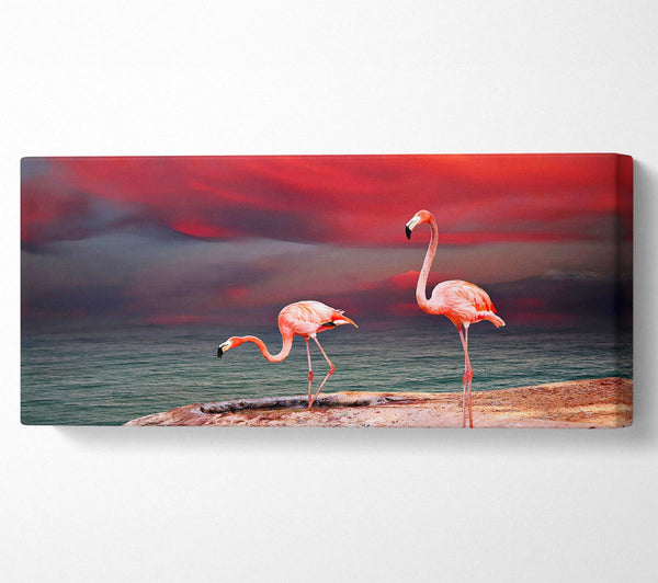 Pink Flamingo Ocean