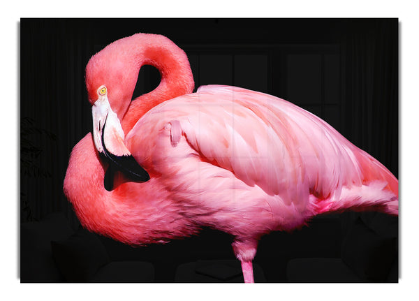 Pink Flamingo