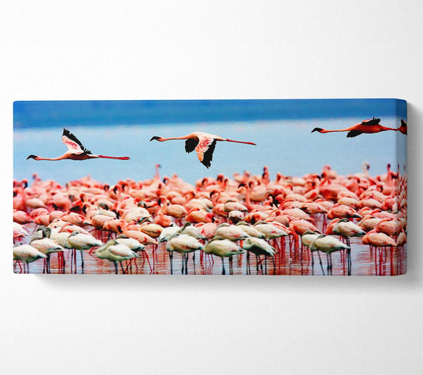 Pink Flamingos In Flight