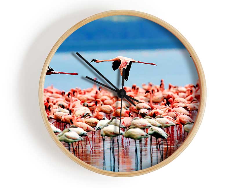 Pink Flamingos In Flight Clock - Wallart-Direct UK