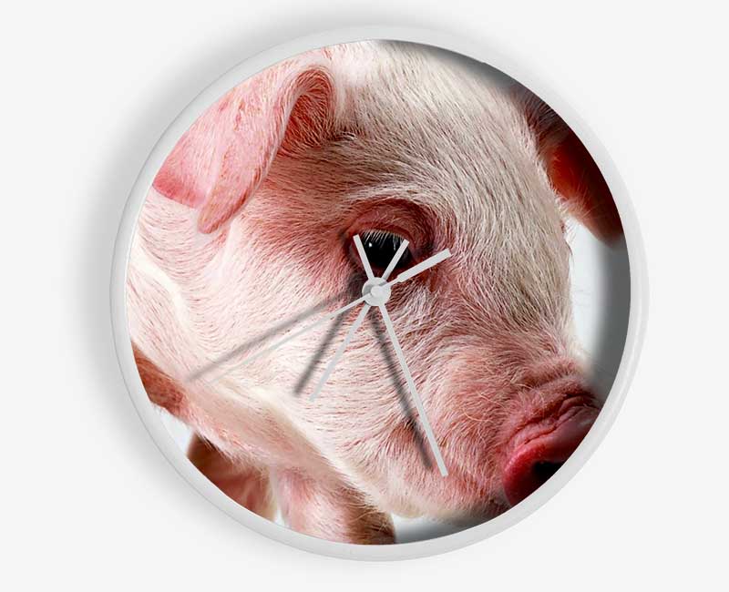 Pink Pig Clock - Wallart-Direct UK