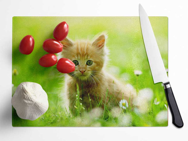 Playful Kitten Glass Chopping Board