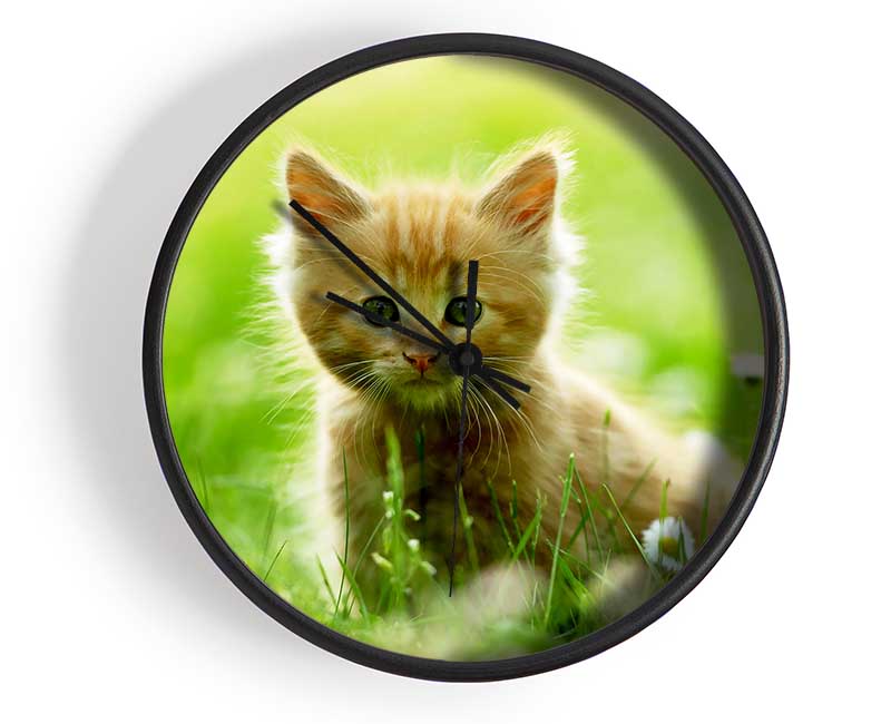 Playful Kitten Clock - Wallart-Direct UK