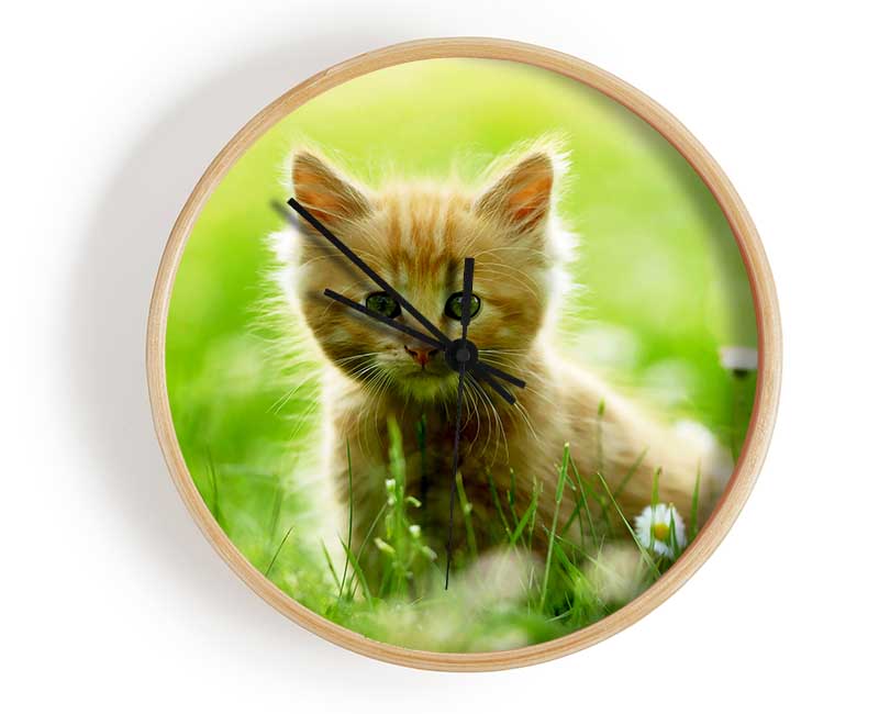 Playful Kitten Clock - Wallart-Direct UK