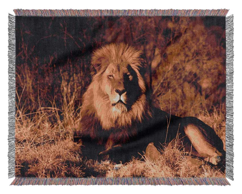 Proud African Lion Woven Blanket