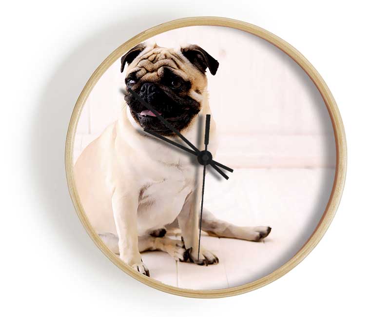 Pug Dog Clock - Wallart-Direct UK