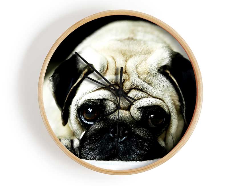 Pug Clock - Wallart-Direct UK