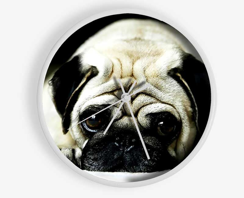 Pug Clock - Wallart-Direct UK