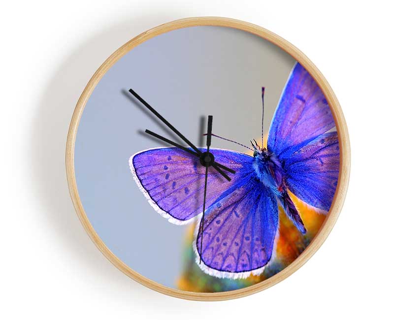 Purple Butterfly Clock - Wallart-Direct UK