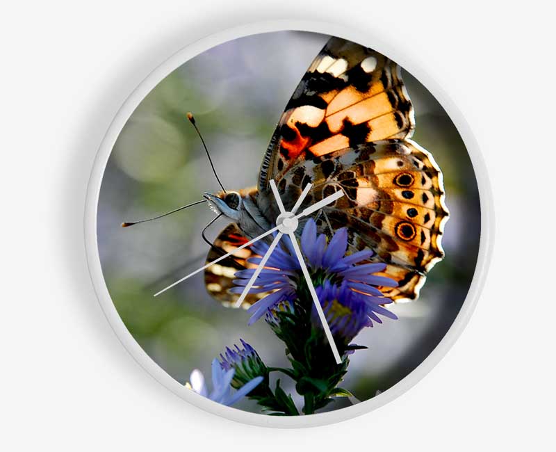 Purple Flower Butterfly Clock - Wallart-Direct UK