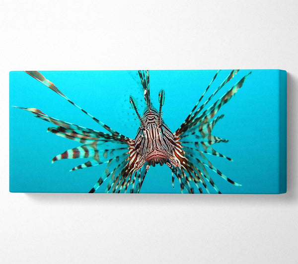 Red Lionfish