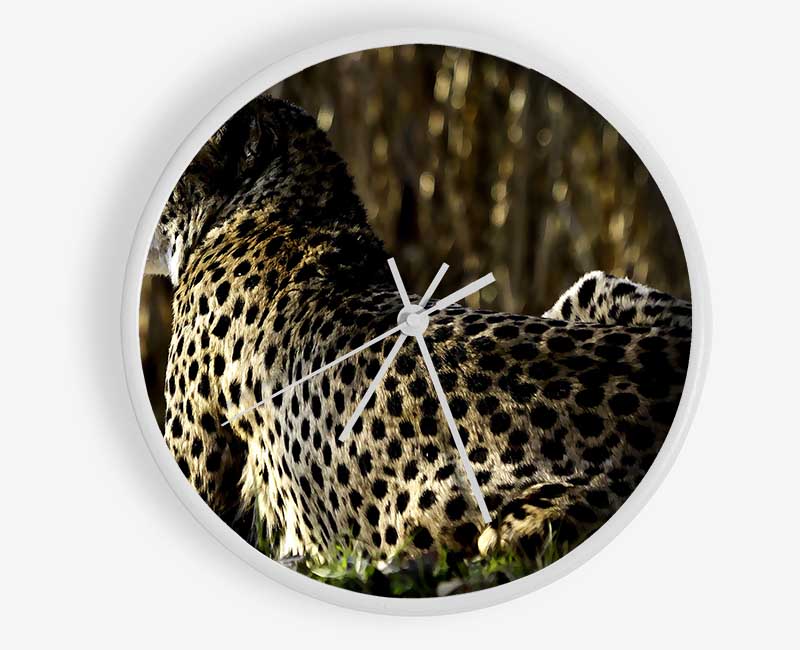 Resting Cheetah Clock - Wallart-Direct UK