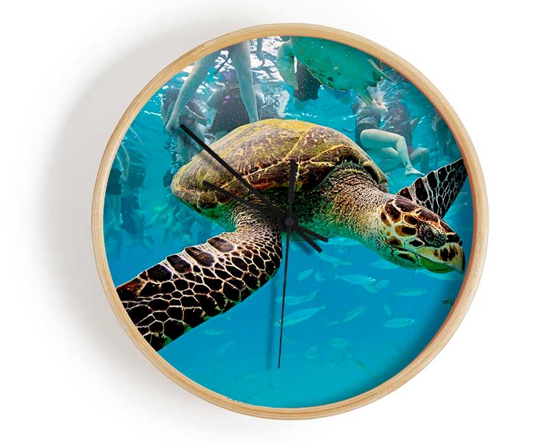 Sea Turtle Under Water Clock - Wallart-Direct UK