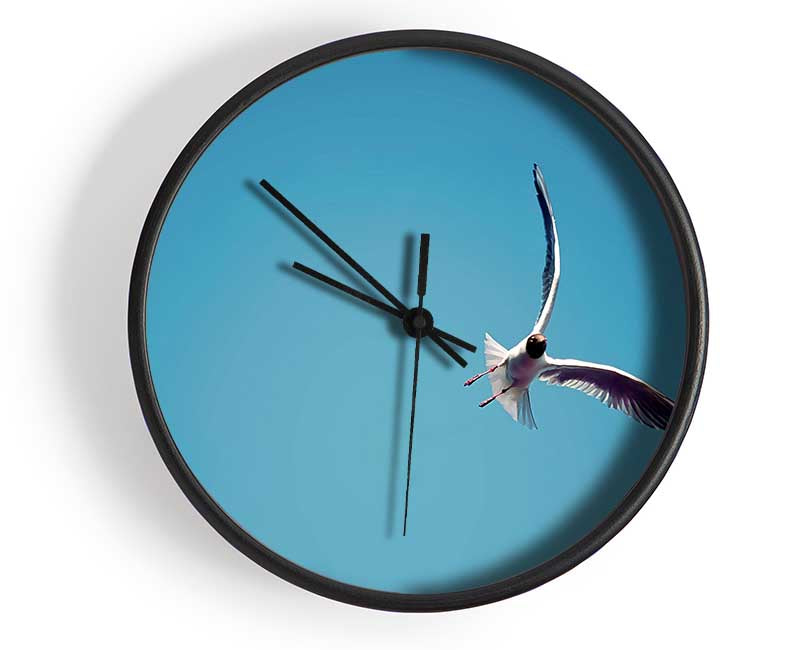 Seagull Flight Clock - Wallart-Direct UK