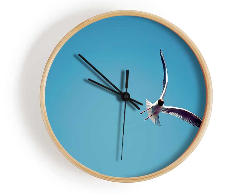 Seagull Flight Clock - Wallart-Direct UK