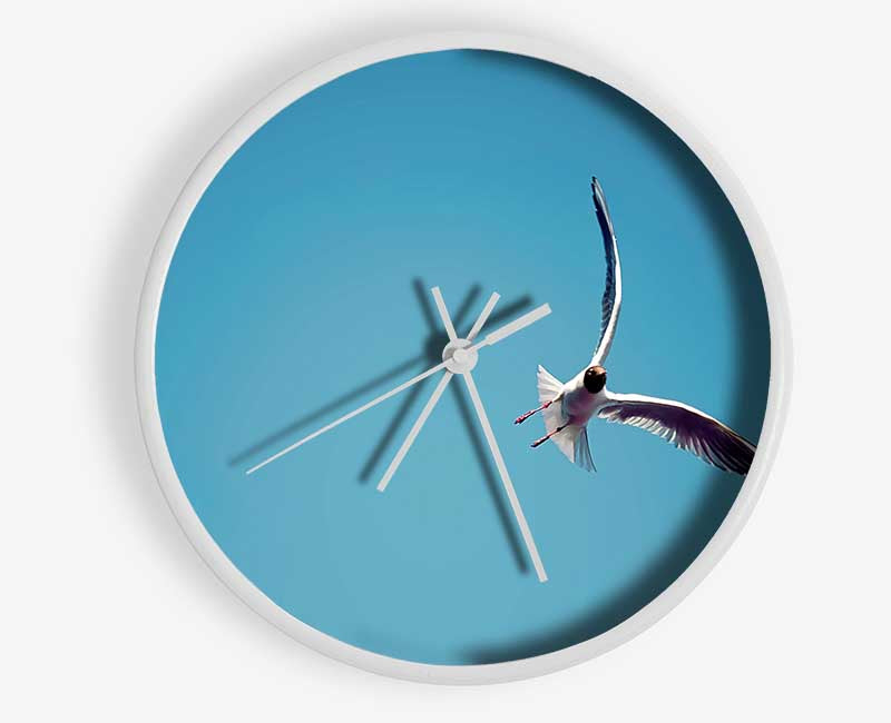 Seagull Flight Clock - Wallart-Direct UK