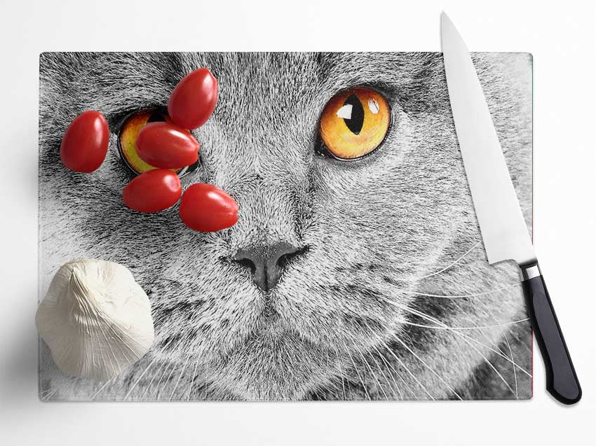 Serious Grey Cat Glass Chopping Board