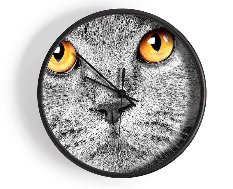 Serious Grey Cat Clock - Wallart-Direct UK