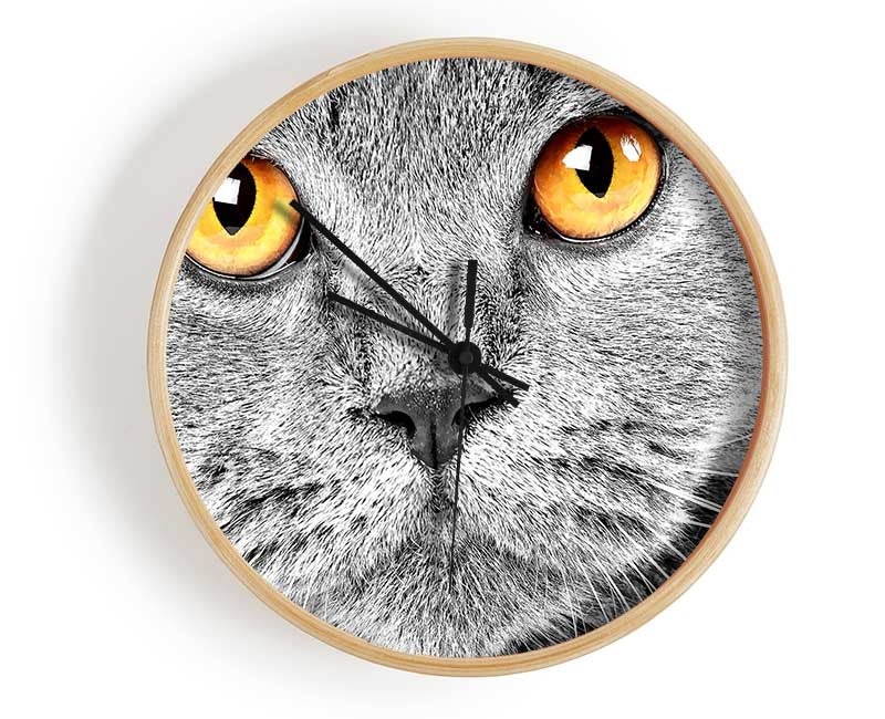 Serious Grey Cat Clock - Wallart-Direct UK