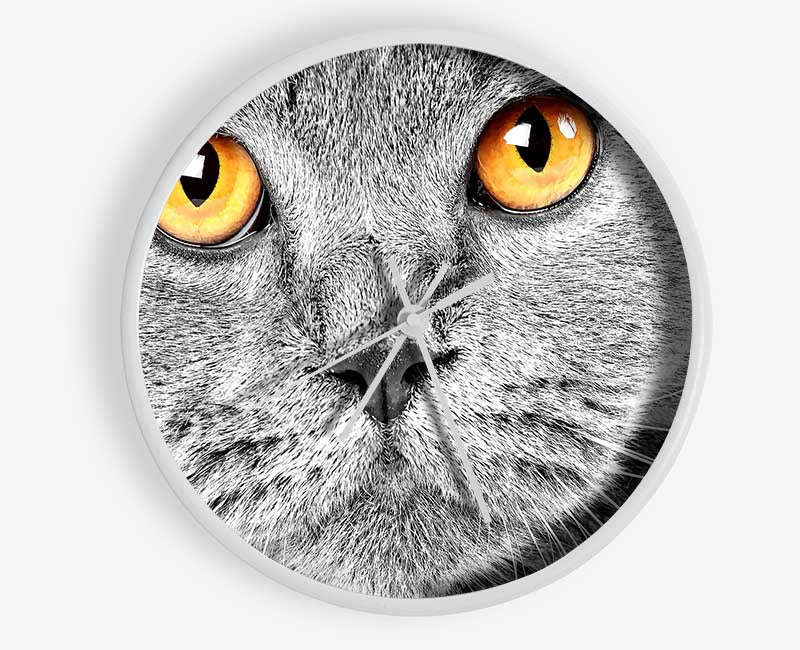 Serious Grey Cat Clock - Wallart-Direct UK