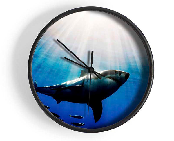 Shark In A Blaze Of Sunlight Clock - Wallart-Direct UK