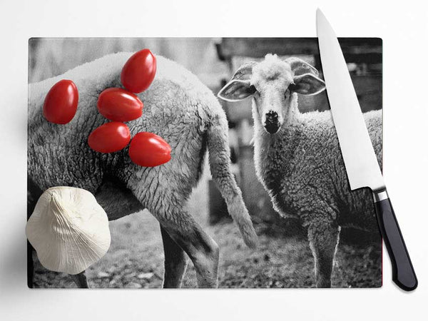 Sheep 2 Glass Chopping Board