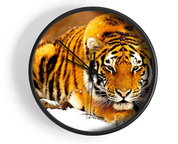 Siberian Snow Tiger Clock - Wallart-Direct UK