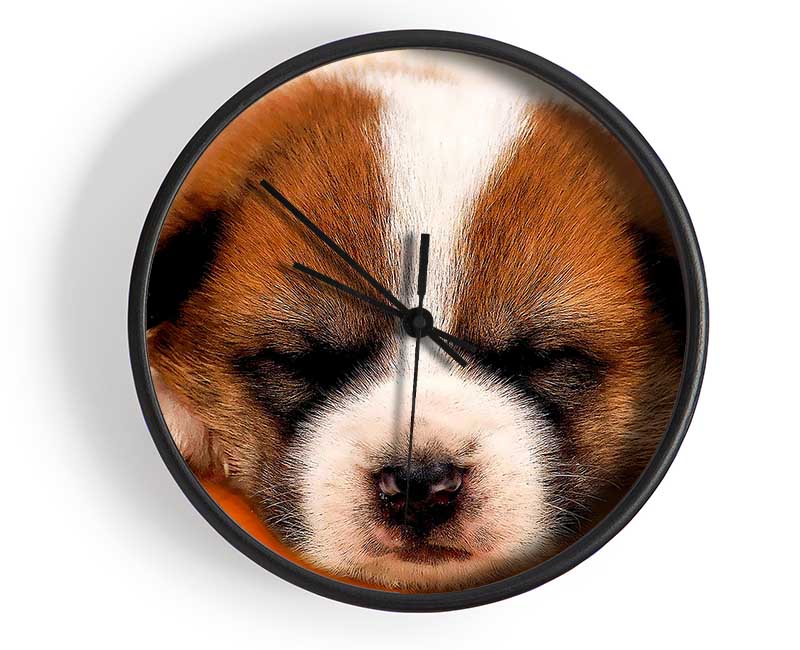 Sleeping Puppy Love Clock - Wallart-Direct UK