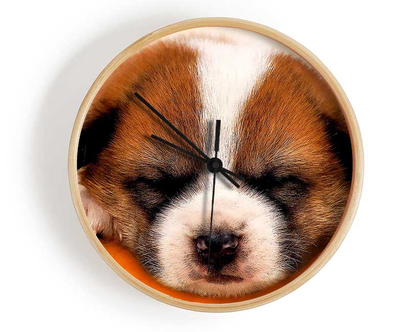 Sleeping Puppy Love Clock - Wallart-Direct UK