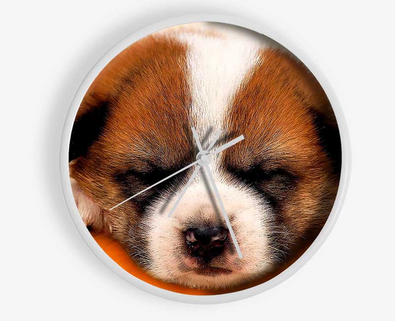 Sleeping Puppy Love Clock - Wallart-Direct UK