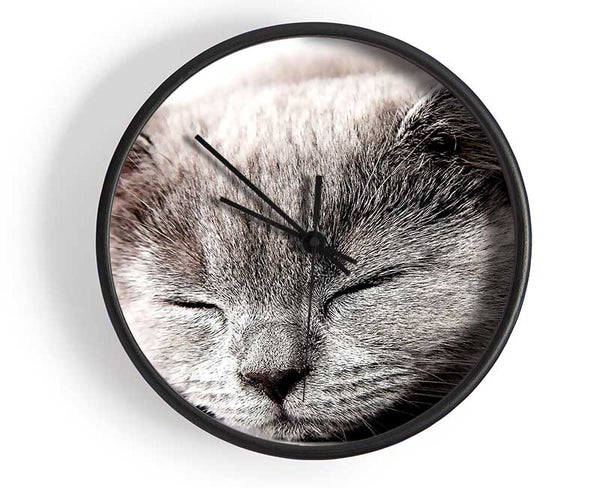 Sleepy Grey Kitten Clock - Wallart-Direct UK