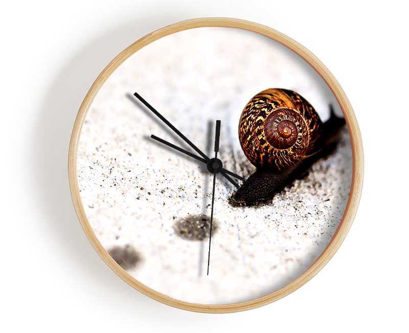 Snail Track Macro Clock - Wallart-Direct UK