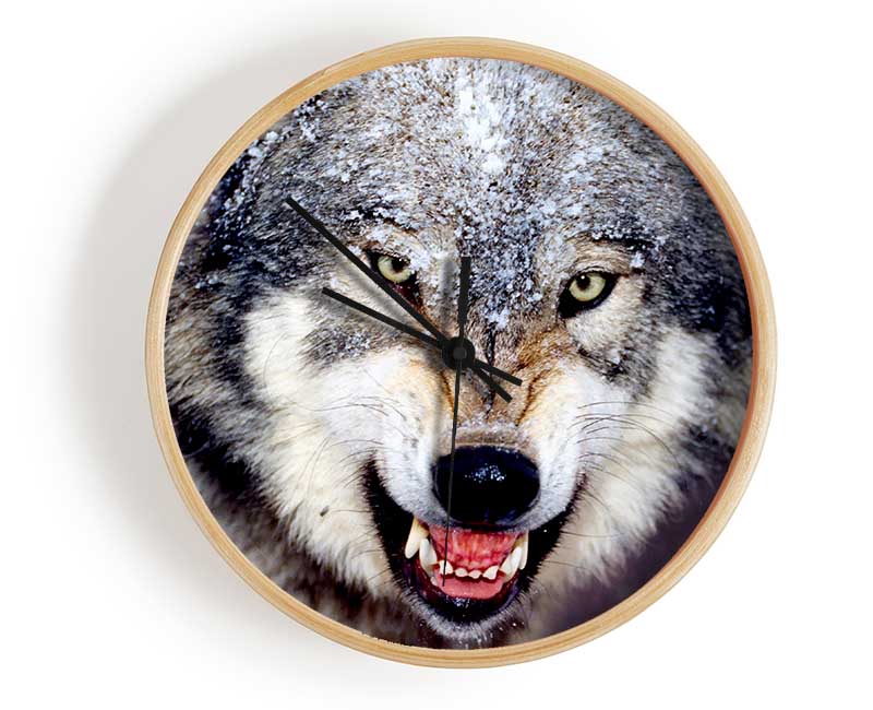 Snarling Gray Wolf Clock - Wallart-Direct UK