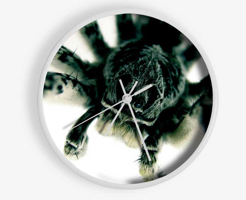 Spider Stare Clock - Wallart-Direct UK