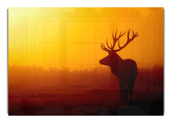 Stag At Sunset