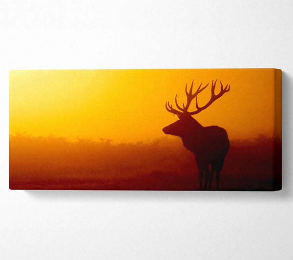 Stag At Sunset