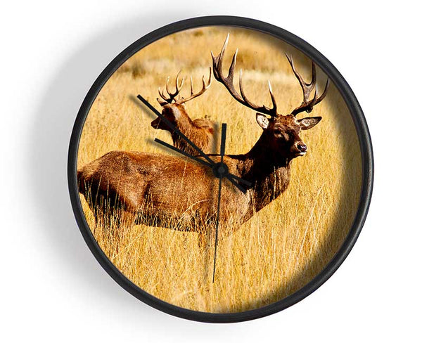 Stag Duo Clock - Wallart-Direct UK