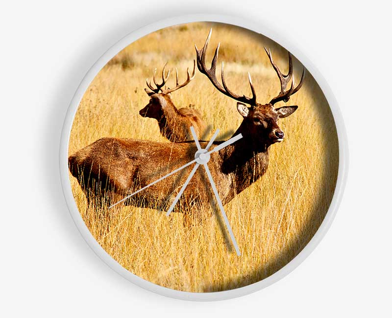 Stag Duo Clock - Wallart-Direct UK