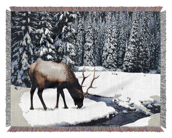 Stag In Winter Woven Blanket