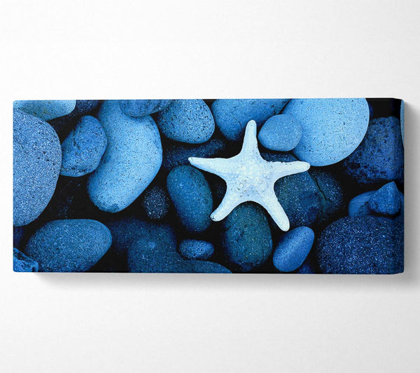 Star Fish Rocks